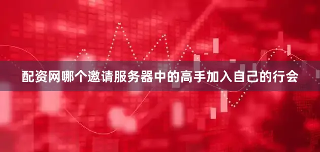 配资网哪个邀请服务器中的高手加入自己的行会