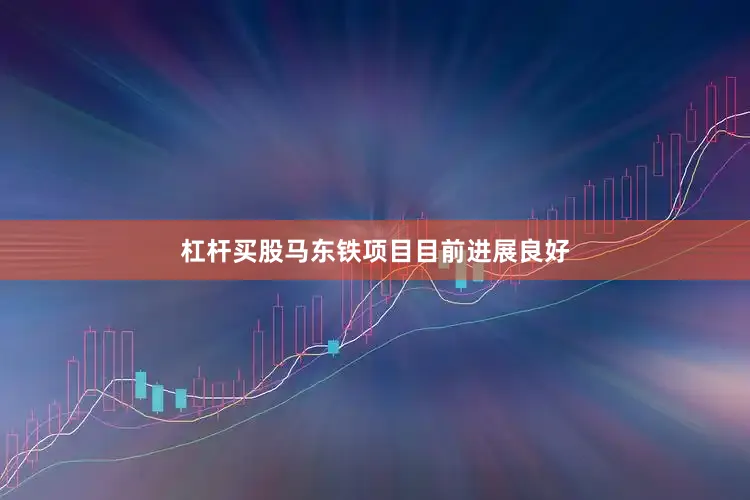 杠杆买股马东铁项目目前进展良好