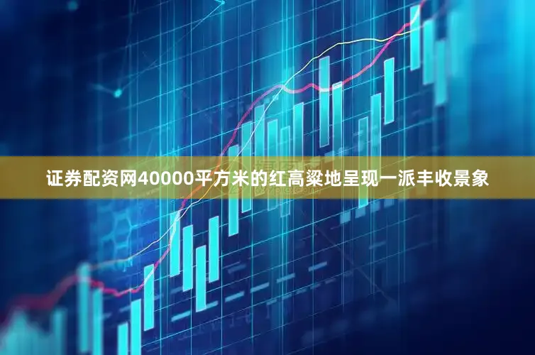 证券配资网40000平方米的红高粱地呈现一派丰收景象