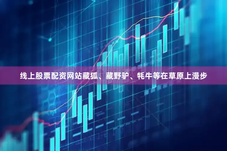 线上股票配资网站藏狐、藏野驴、牦牛等在草原上漫步