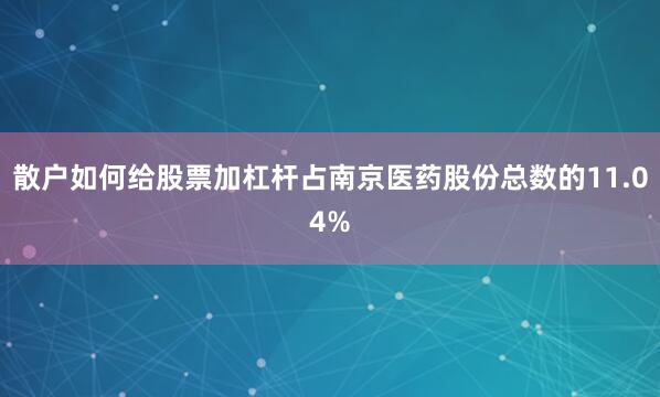 散户如何给股票加杠杆占南京医药股份总数的11.04%