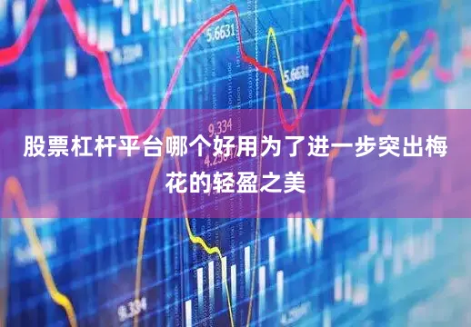 股票杠杆平台哪个好用为了进一步突出梅花的轻盈之美